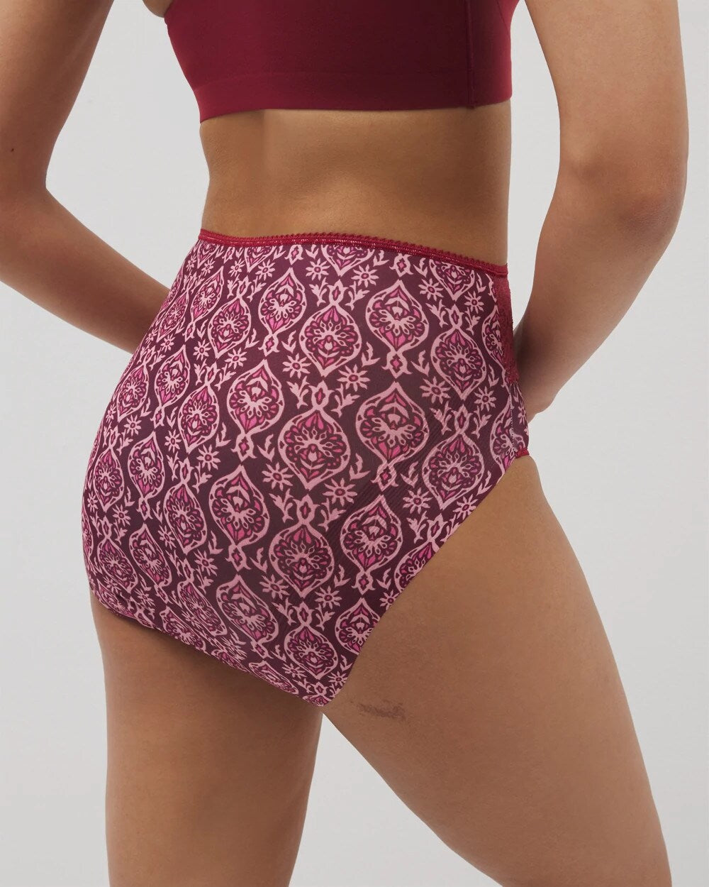 Soma Vanishing Edge Microfiber Modern Brief Panty with Lace